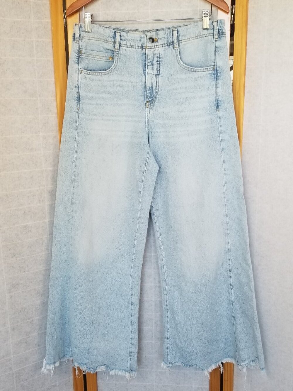 Pilcro High-Rise Wide Leg Jeans Light Wash Frayed Hem Size 29 Anthropologie